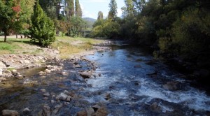 Mitta Mitta River outback of the pub.